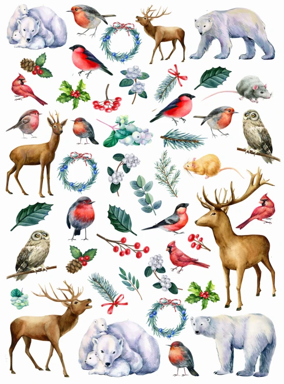 djs deers