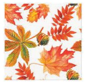 PAW FALL COLORS.jpg