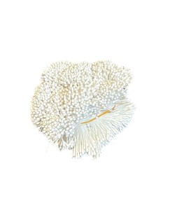 PRĘCIKI DO KWIATÓW BIAŁE 