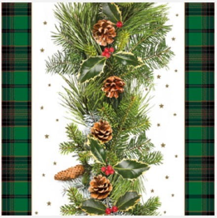 slgw 026001 conifer twigs with check border.jpg