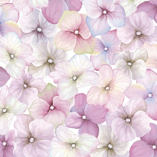 SERWETKI DAISY