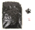 DSCF3861.JPG