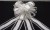 DSCF3536.JPG