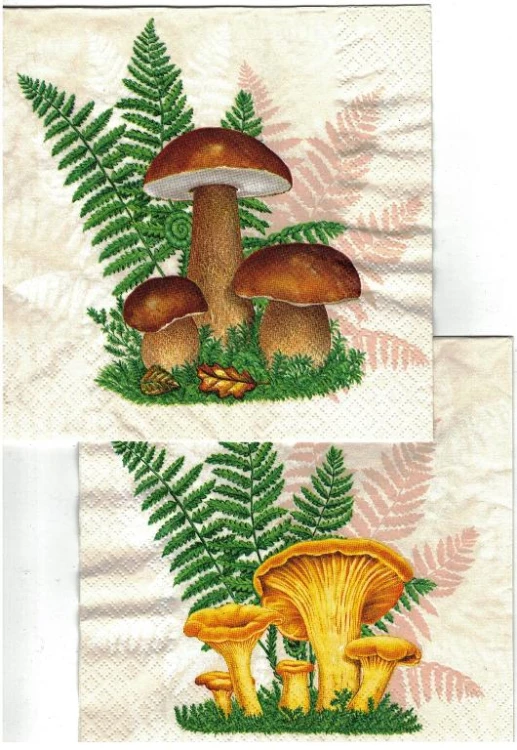 003.jpg